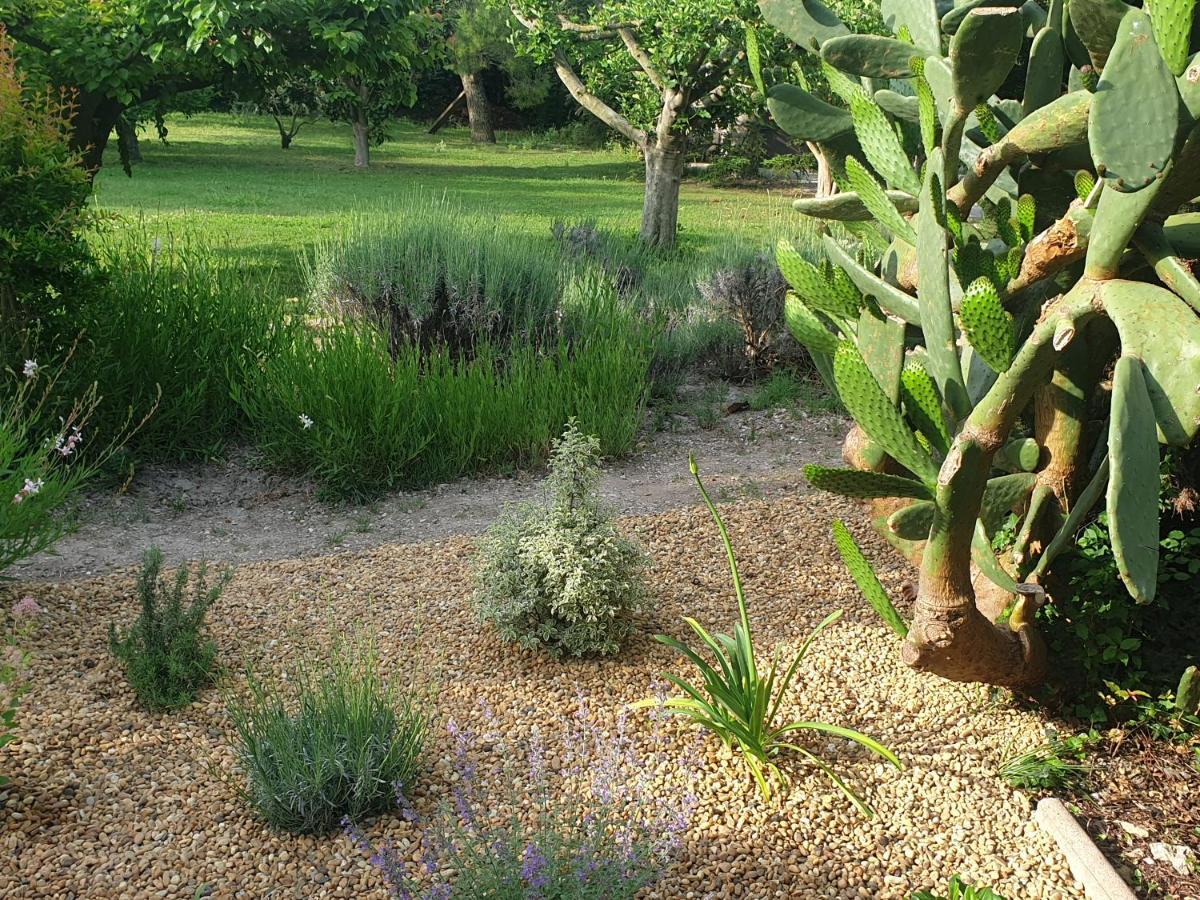 Bed & Breakfast La Gourmandine Saint-Andiol