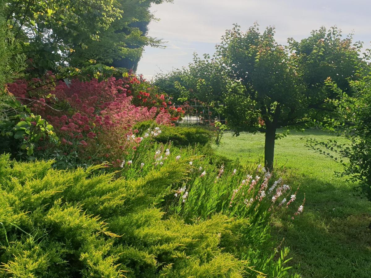 La Gourmandine Bed & Breakfast Saint-Andiol